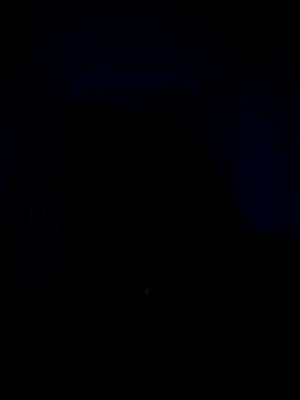 Snapshot of Telugucouple69 chatting on 02.15.26 Telugucouple69 online show from 02.15.26