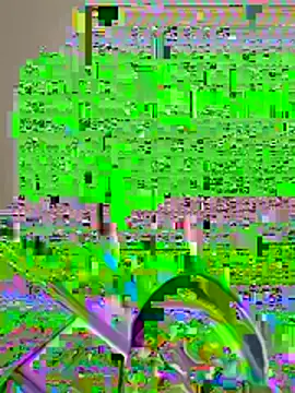 pussyeater - online show from 08.07.26