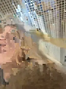 -OliviaSoft online show from 03.01.26