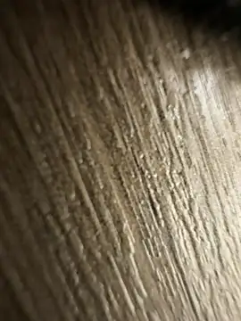 brayangz  online show from 04.08.26