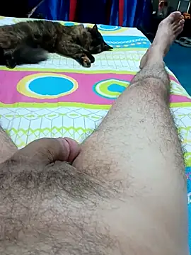 JFC161612 online show from 04.08.26