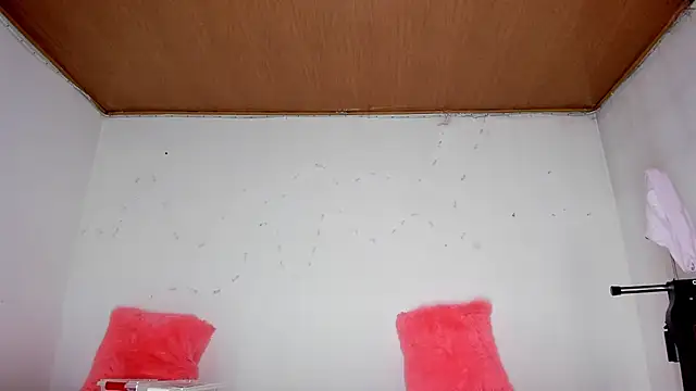 Snapshot of karol_kane chatting on 02.13.26 karol kane online show from 02.13.26