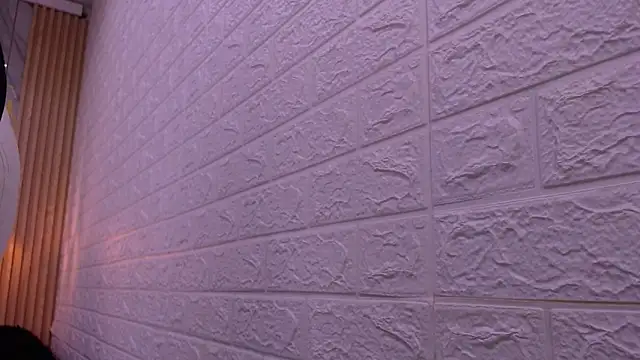 Snapshot of benjamin_anthony chatting on 03.04.26 benjamin anthony online show from 03.04.26