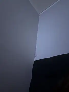 Snapshot of yourevsi chatting on 03.02.26 yourevsi online show from 03.02.26