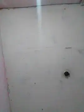 Snapshot of cobrosdepagos chatting on 02.19.26 cobrosdepagos online show from 02.19.26