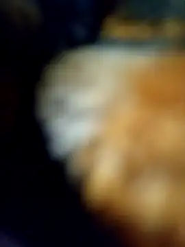 Avinh 09 online show from 02.15.26