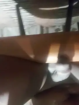 Cookiesucker2025 online show from 03.15.26