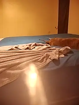 MissBella0969 online show from 04.04.26