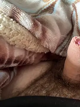 D4n13l47 online show from 03.05.26