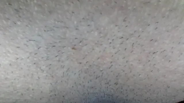 machodotado97 online show from 03.15.26