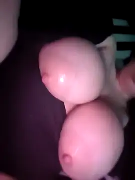 Snapshot of BITOFSIN chatting on 02.19.26 BITOFSIN online show from 02.19.26