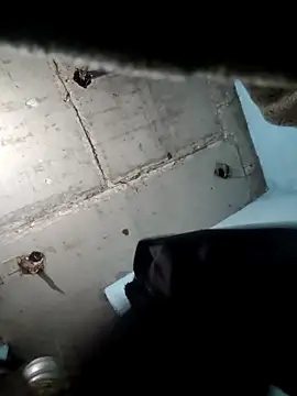 Snapshot of M_Lisha chatting on 02.25.26 M Lisha online show from 02.25.26