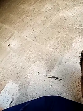 Snapshot of negopreto_ chatting on 02.24.26 negopreto online show from 02.24.26