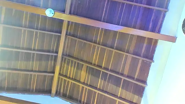 TonyPetrovjs online show from 02.26.26