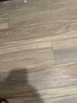 Snapshot of SavorredEscapist chatting on 02.26.26 SavorredEscapist online show from 02.26.26