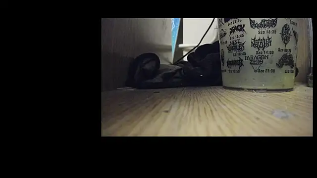 Snapshot of ts_dina chatting on 03.03.26 ts dina online show from 03.03.26