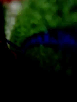 wifedesi7050 online show from 04.20.26