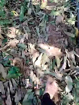 Snapshot of blackbeauty321 chatting on 03.03.26 blackbeauty321 online show from 03.03.26