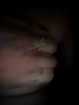 Rashmika Mandana online show from 03.18.26