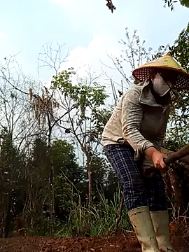 Heylen hooo online show from 03.29.26