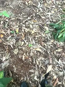 bibedro online show from 02.28.26