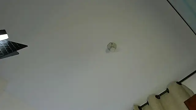 Rebeca Marchetti online show from 04.07.26