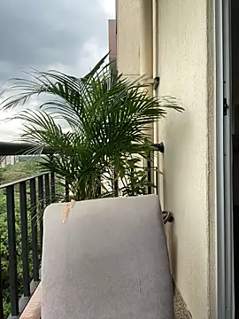 Pamela222- online show from 03.07.26