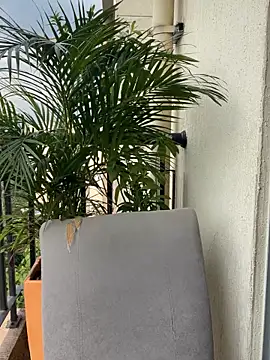 Pamela222- online show from 03.15.26