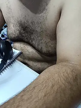 UrsoBissexualPauGrosso online show from 03.06.26