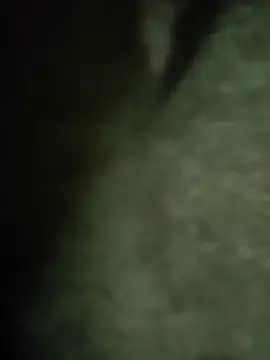 Pop1977 online show from 04.07.26