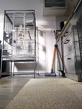 sexy8993 online show from 04.13.26