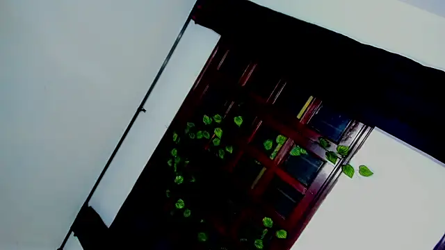 laaura dolll online show from 04.06.26