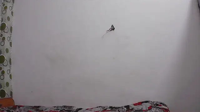 hard to do   online show from 04.11.26