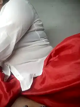 Delhi Patola online show from 04.13.26