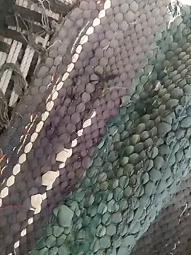 King night1 online show from 04.12.26