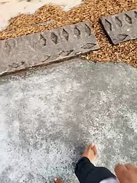 Desii rockstarr online show from 03.17.26