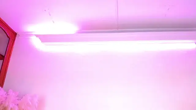 Rebeldana online show from 03.14.26