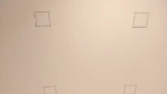 lilly williamss online show from 04.09.26