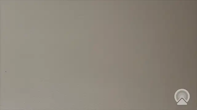 Shynesse21 online show from 03.26.26