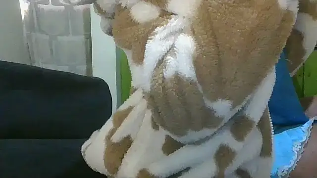 Elianastar online show from 04.16.26