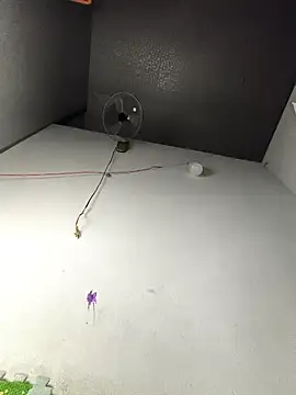 Snapshot of my33verything chatting on 03.18.26 my33verything online show from 03.18.26