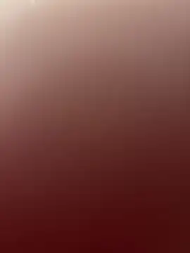 SwissHotLeo online show from 07.08.26