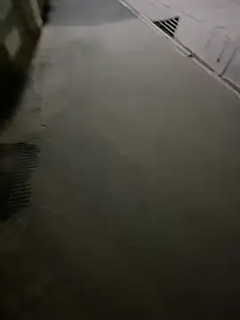 Wildlovee online show from 04.12.26