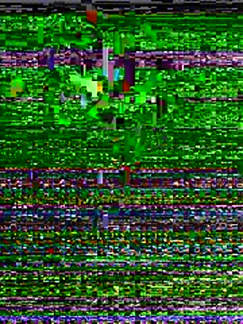 lexy night online show from 04.19.26