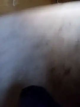 vrlarga online show from 04.02.26