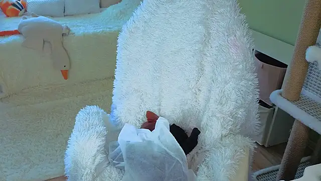 Regina Noire online show from 04.09.26