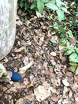 Snapshot of Chandni78 chatting on 04.02.26 Chandni78 online show from 04.02.26