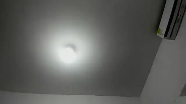 DilanAndKing online show from 06.11.26