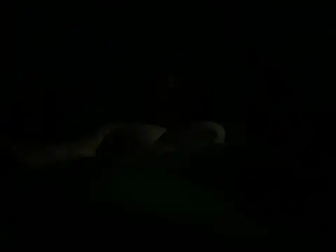 hunglikemeee online show from 04.16.26