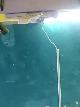 maicol6699 online show from 04.15.26